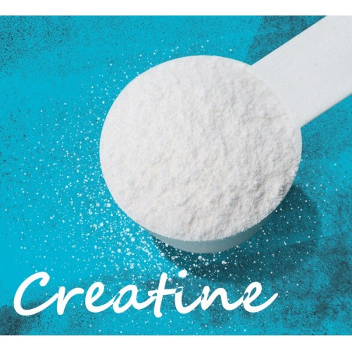 CREATINE 101
