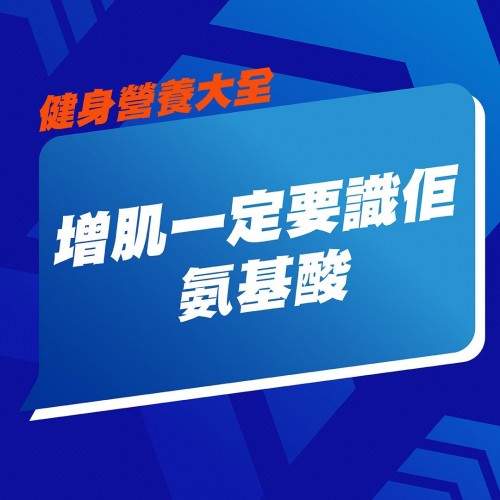 蛋白粉全攻略：【蛋白粉是什麼？】功效、攝取量、適合族群與選購指南一次看懂！
